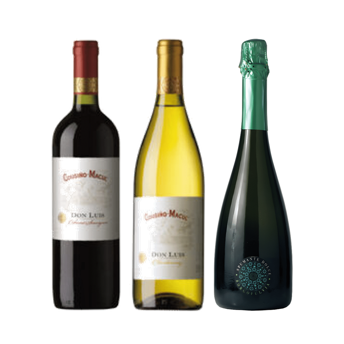 Cómo Elegir Tu Primer Vino: Guía Práctica para Principiantes