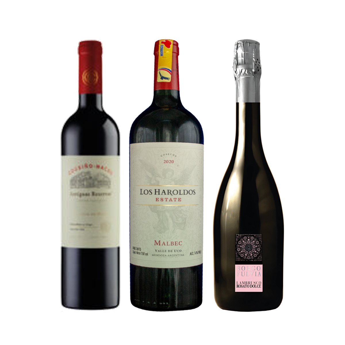 Chile, Argentina e Italia: Las Tres Escuelas de Vino que Importamos